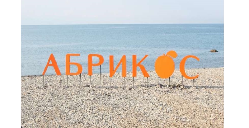 Гала-конференция «Абрикос»