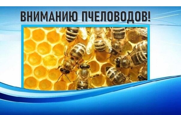Вниманию пчеловодов!
