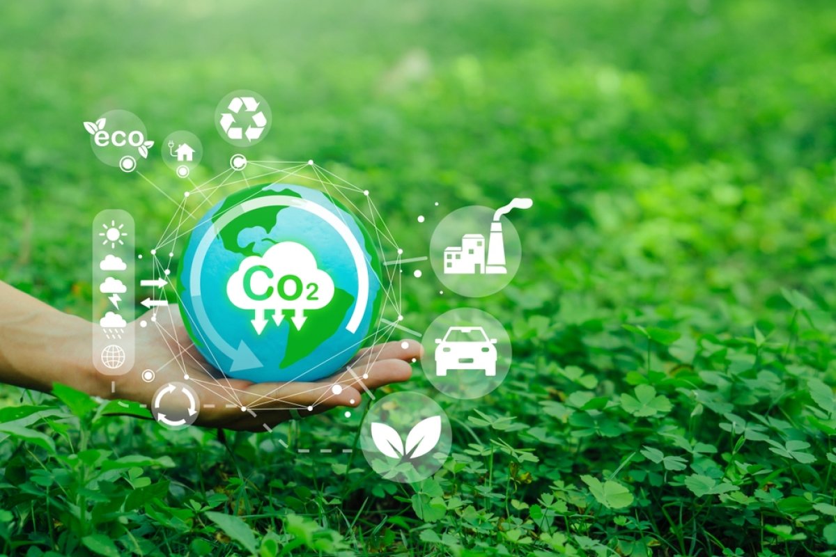 Как каждый из нас может снизить уровень CO₂: практические идеи