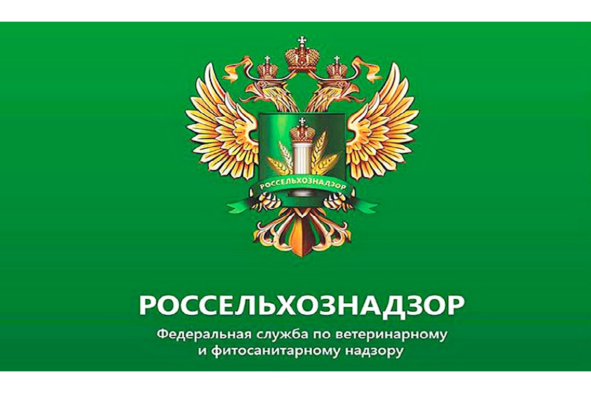 Чек-листы, перечень вопросов при проведении аудита