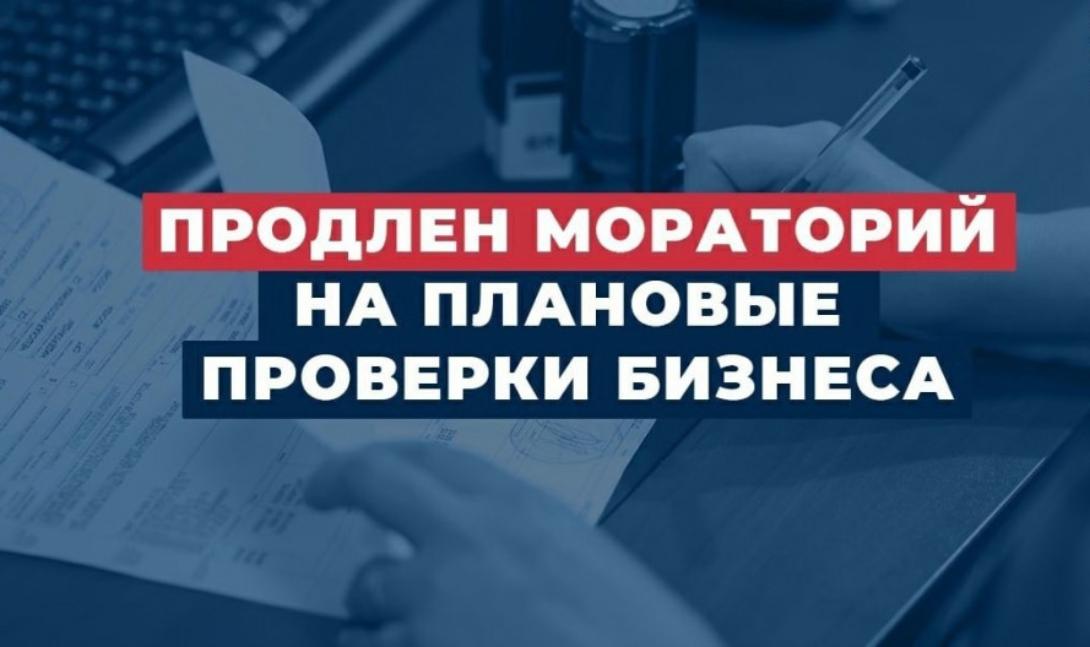 Запрет на плановые проверки продлен до 2030 года