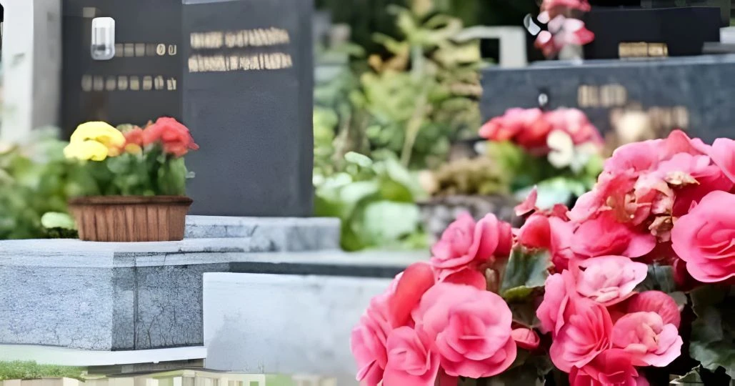 Уважаемые граждане!  Кладбище — это особое место памяти и уважения. Поддерживать его в достойном состоянии — наша общая гражданская обязанность!
