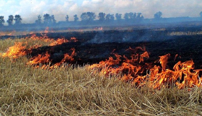 Памятка населению по поджогам сухой травы