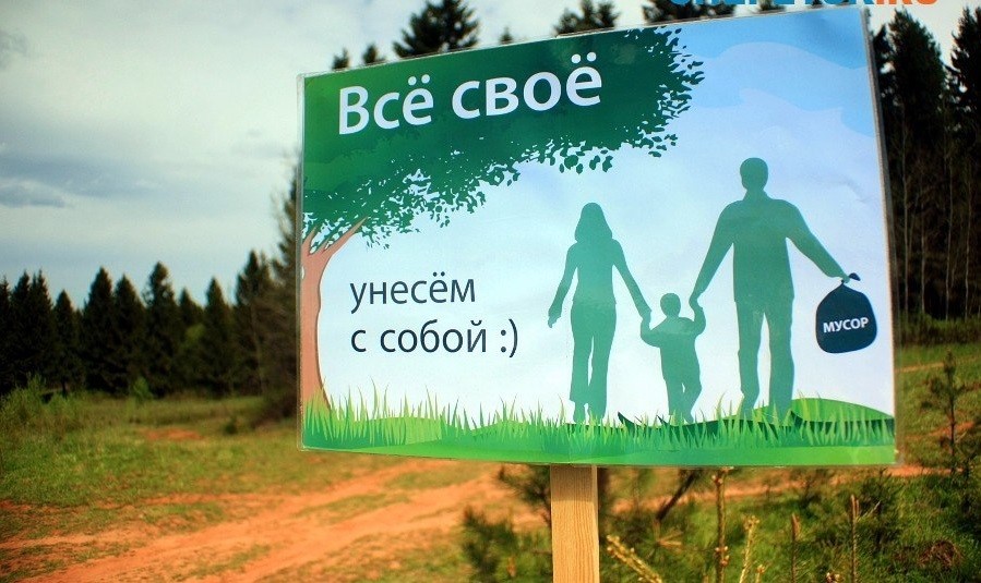 Нелегальные мусорные свалки в лесах