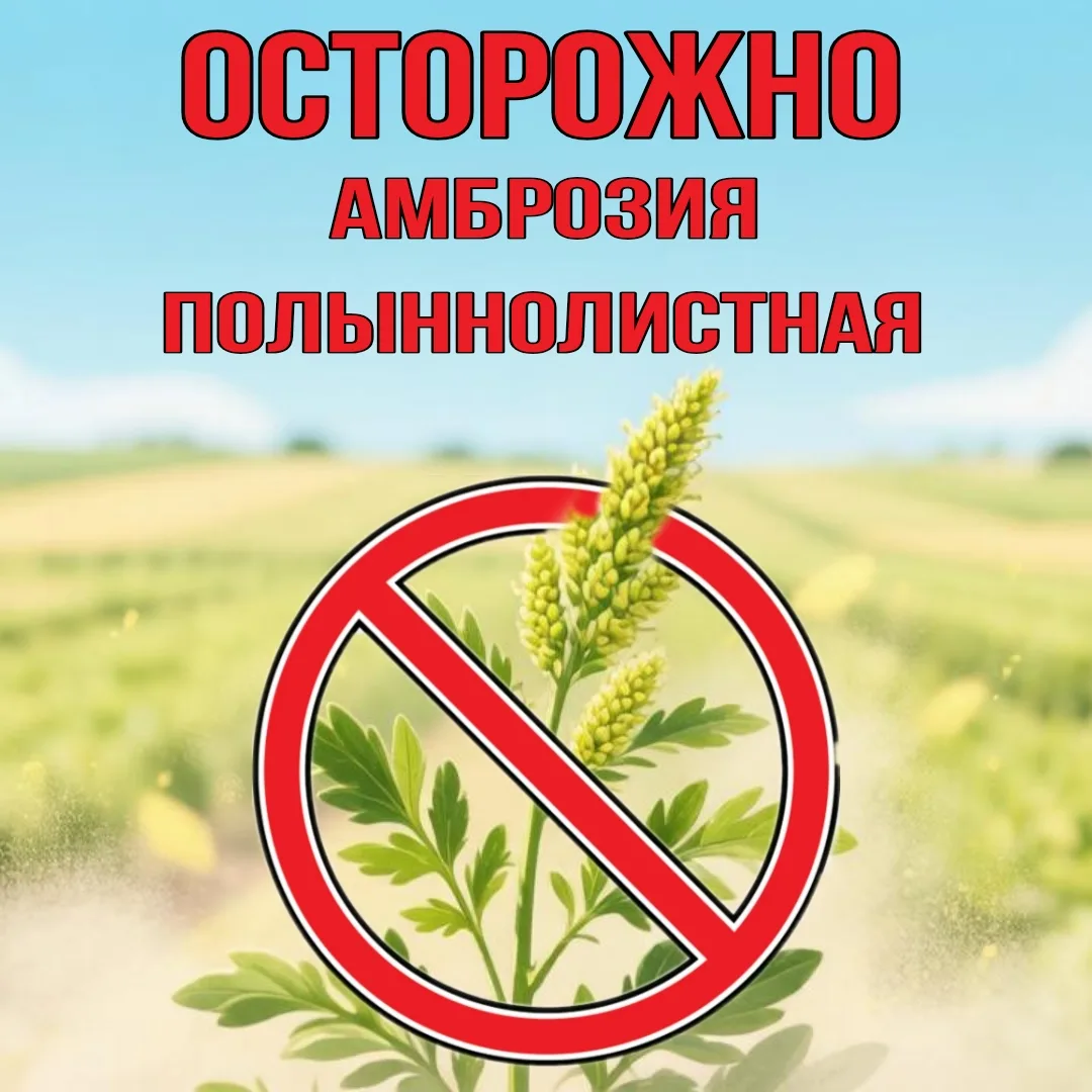  Внимание, жители Майского района!