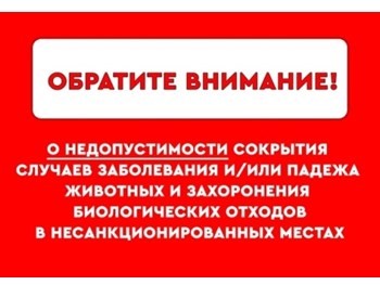 Информация о недопустимости сокрытия случаев заболевания и падежа животных и захоронения биологических отходов в несанкционированных местах