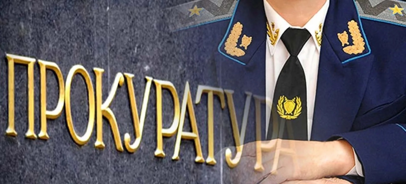 Меры социальной поддержки
