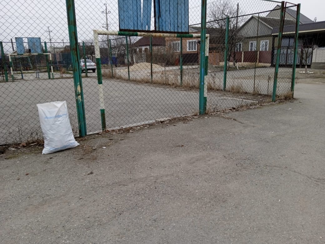 Акция «Чистый парк»