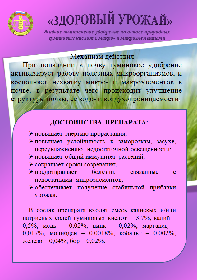 Гумат 1 сторона.png Гумат 1 сторона.png